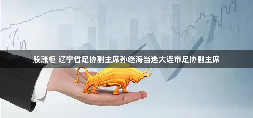 股涨柜 辽宁省足协副主席孙继海当选大连市足协副主席