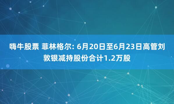 嗨牛股票 菲林格尔: 6月20日至6月23日高管刘敦银减持股份合计1.2万股