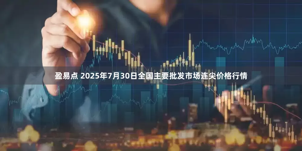 盈易点 2025年7月30日全国主要批发市场连尖价格行情