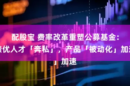 配股宝 费率改革重塑公募基金：绩优人才「奔私」，产品「被动化」加速