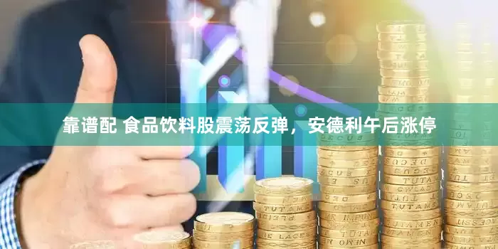 靠谱配 食品饮料股震荡反弹，安德利午后涨停