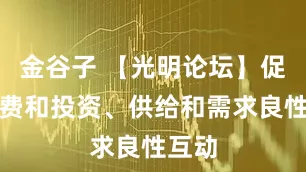 金谷子 【光明论坛】促进消费和投资、供给和需求良性互动